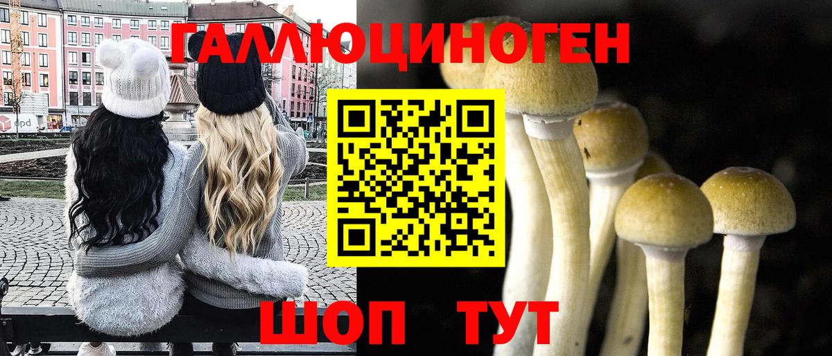 Великий Устюг  Псилоцибиновые грибы Cubensis  Вход с VPN 